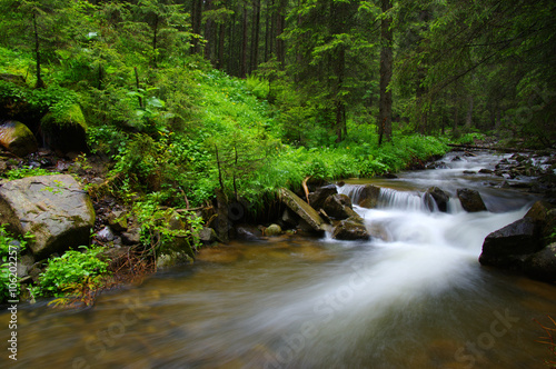 Mountain river in forest.