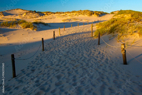 Canvastavla Dunes in slowinski national park, Poland.