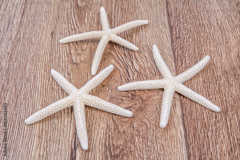 White starfishes on a wooden background White starfishes on a wooden background