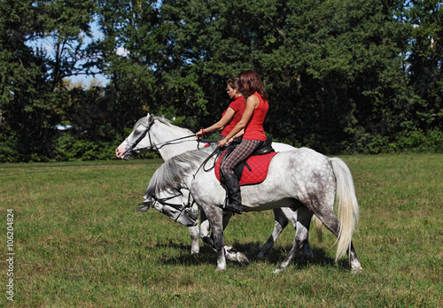 Two girls having fun at horse stud park  © horsemen