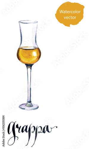 Glass of Italian grappa brandy