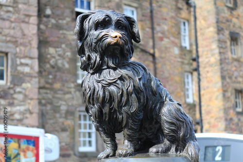 Bobby the Grayfriar's graveyard dog