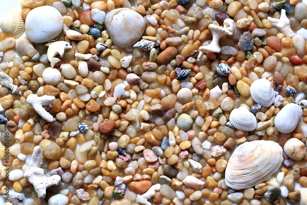 sea vacation, pebbles and sea shells on the beach for background sea vacation, pebbles and sea shells on the beach for background