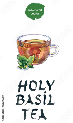 Cup of herbal tea with green tulsi leaves, Indian tea
