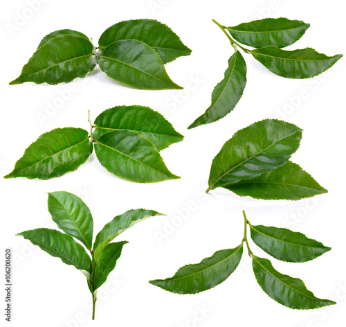 tea leaf