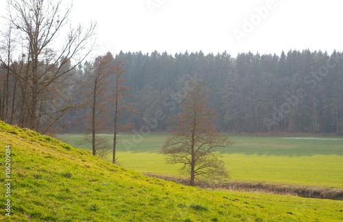 Hügelige Landschaft mit Wiesen, Wald und Bach