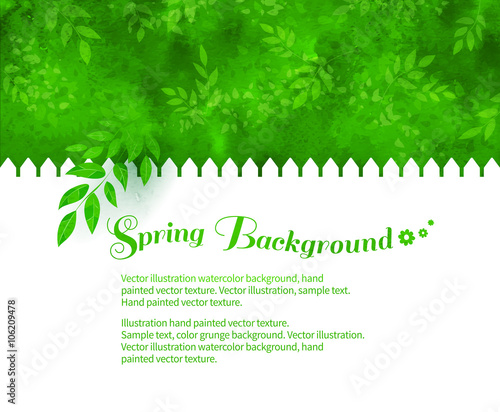 Background with green shrubs