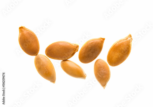 pumpkin seeds isolated