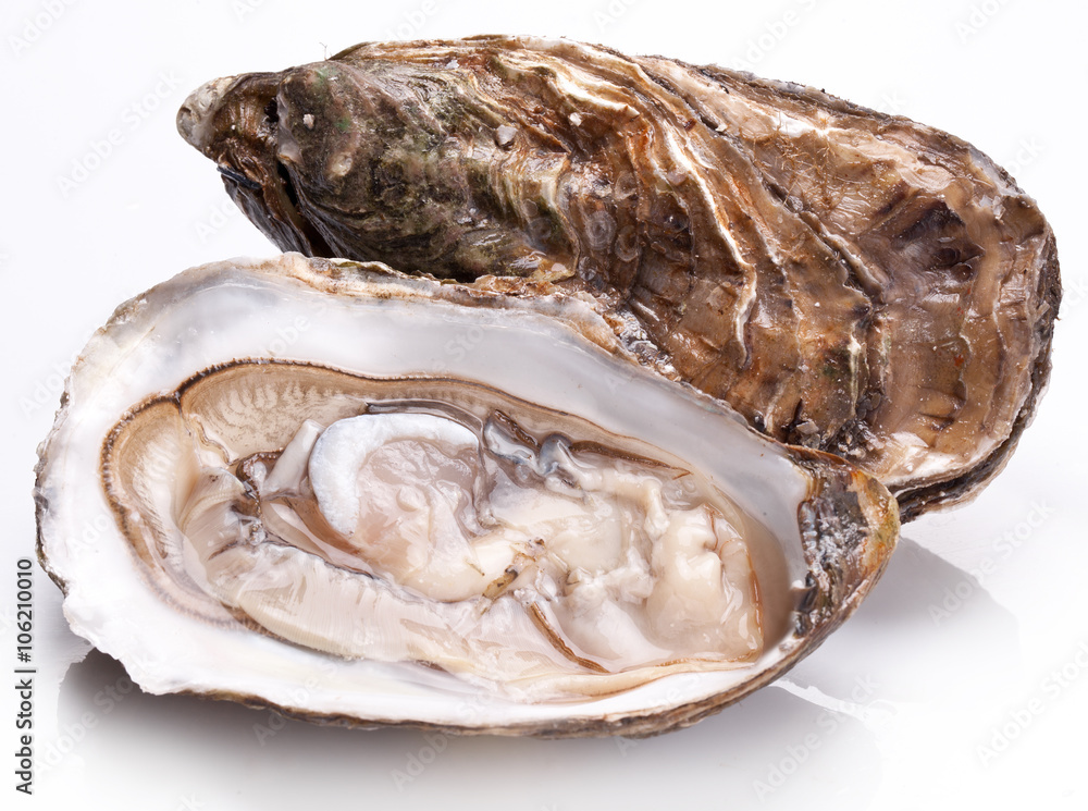 Raw oyster on a whte background.