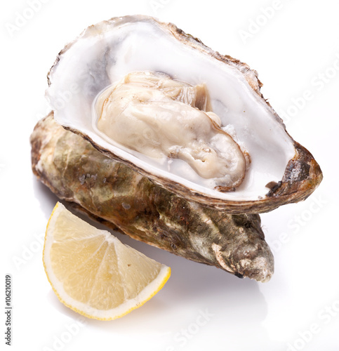 Raw oyster and lemon on a whte background.