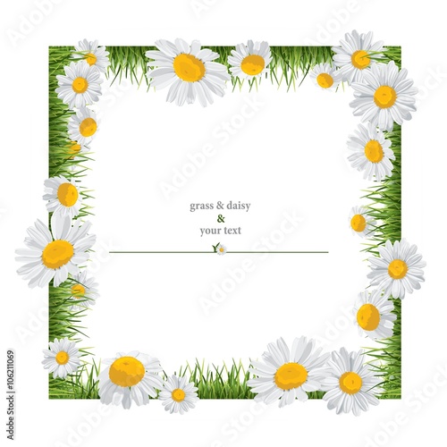 Fototapeta Naklejka Na Ścianę i Meble -  summer print with daisies