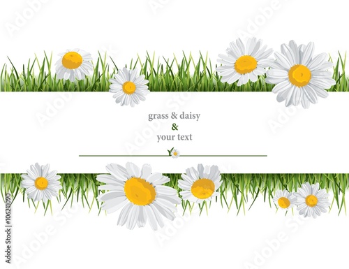 summer print with daisies