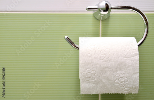 Roll of white toilet paper on metal paper holder