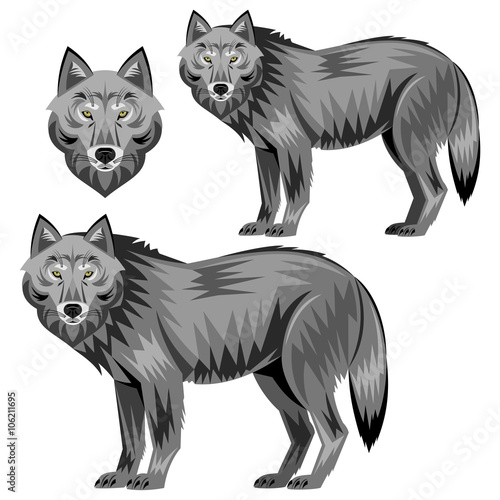 Wolf