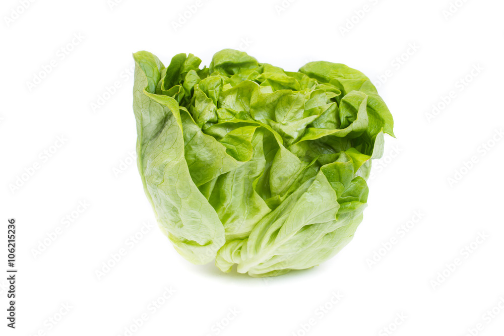 fresh lettuce salad - isolated on white fresh lettuce salad - isolated on white