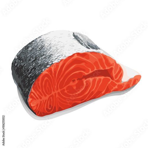 salmon isolated on a white, vector