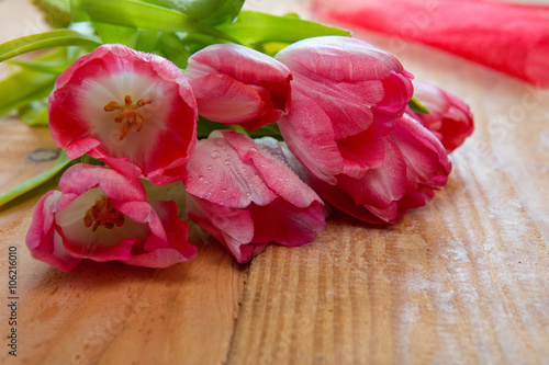 Fototapeta Naklejka Na Ścianę i Meble -  Pink tulip bouquet isolated .