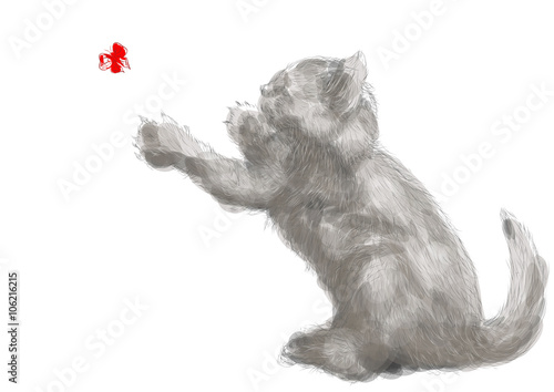 playing cat
