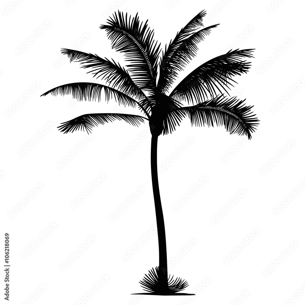 Fototapeta premium palm tree silhouette