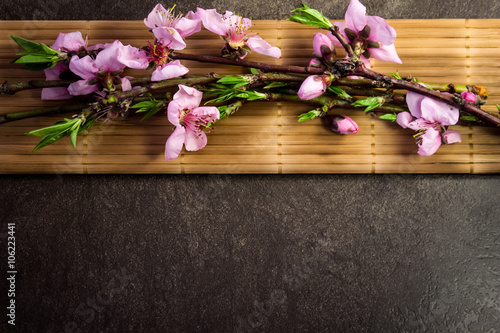 Branch with peach flowers and bamboo on flat stone background 