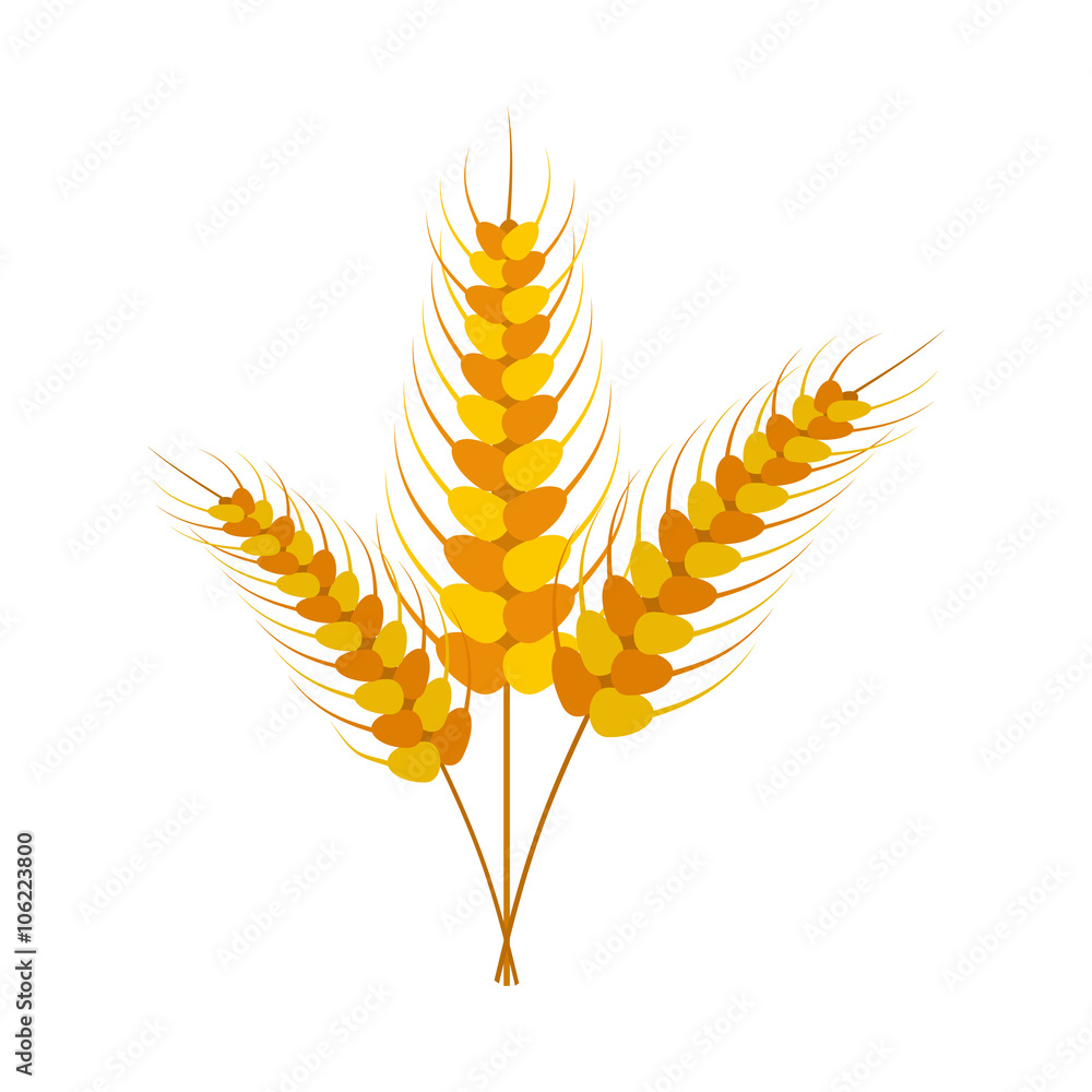 Three stalks of ripe barley icon Three stalks of ripe barley icon
