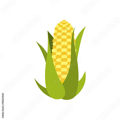 Corn cob icon