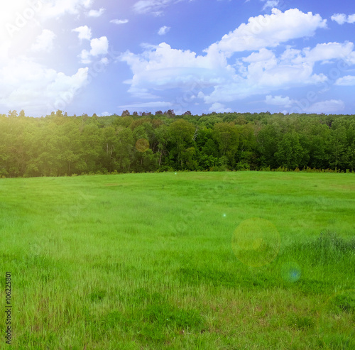 Green field  trees and blue sky