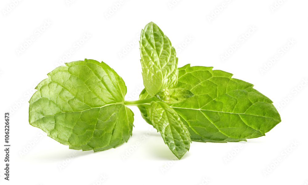 mint mint