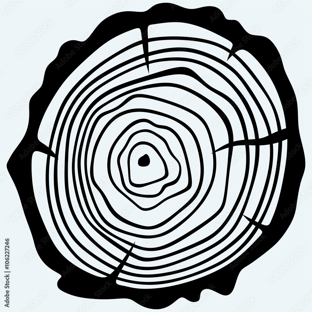 Cross section of tree stump. Isolated on blue background. Vector silhouettes Cross section of tree stump. Isolated on blue background. Vector silhouettes