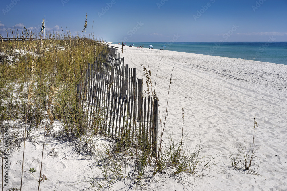 Sand Fences Protect Dunes at the Beach