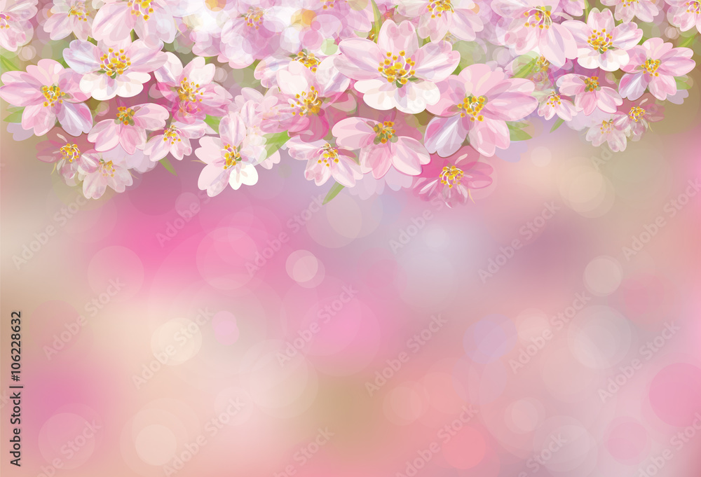Vector blossoming sakura tree, pink bokeh background.