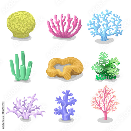Fototapeta Naklejka Na Ścianę i Meble -  Colorful corals, Reef nature marine  Vector underwater flora, fauna.