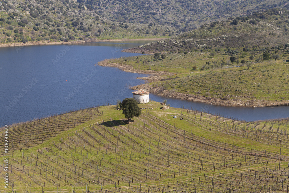 Naklejka premium Sabor River in Douro Valley