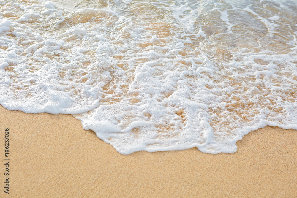 Beach Foam on Sand Beach Foam on Sand