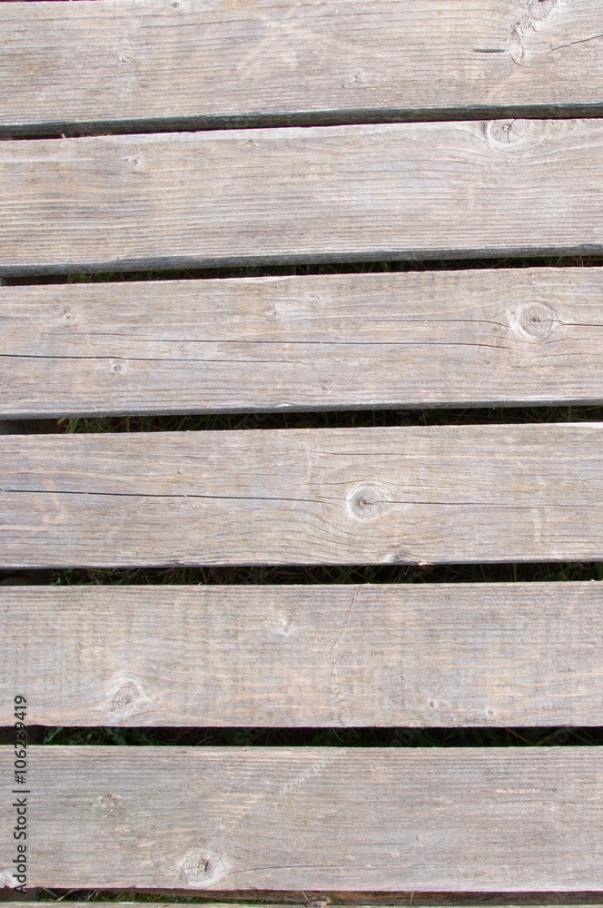 Fototapeta premium Wood texture, background old panels