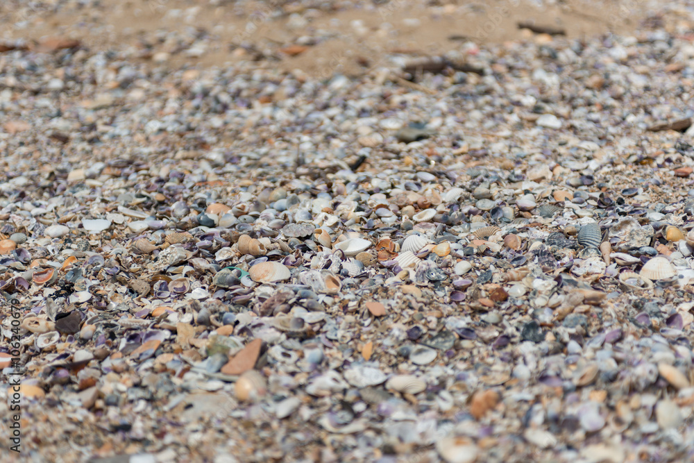 Mit Muschelschalen bedeckter Strand in Thailand