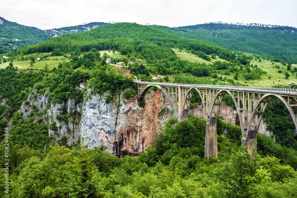 Bridge construction. Durdevica Tara arc bridge in the mountains,