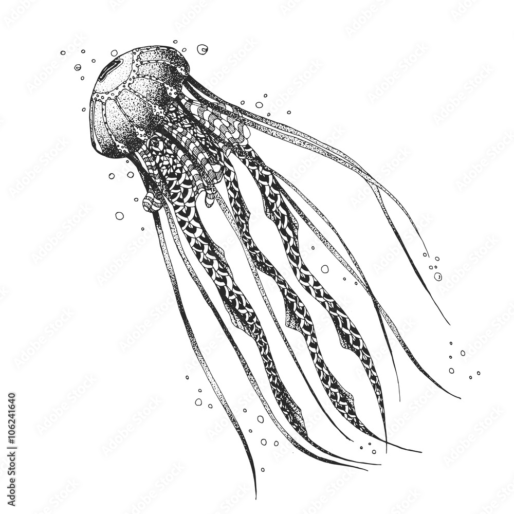 Naklejka premium Sketch medusa. styling. Hand drawn. Illustration vector