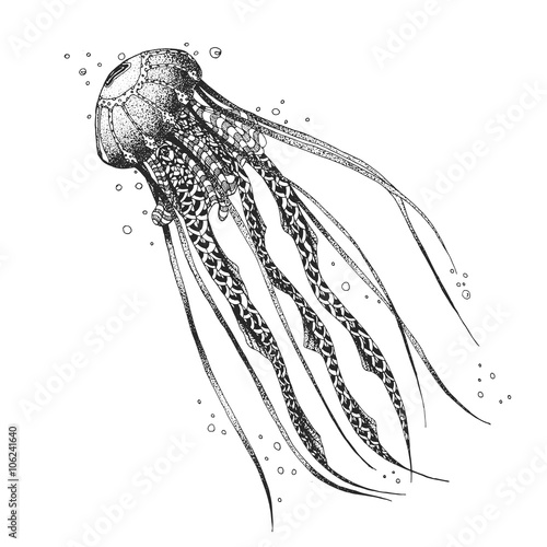 Sketch medusa. styling. Hand drawn. Illustration vector photo
