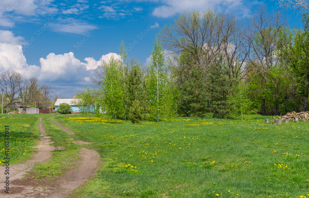 Sunny spring landscape with earth road leading to remote farm-stead in central Ukraine