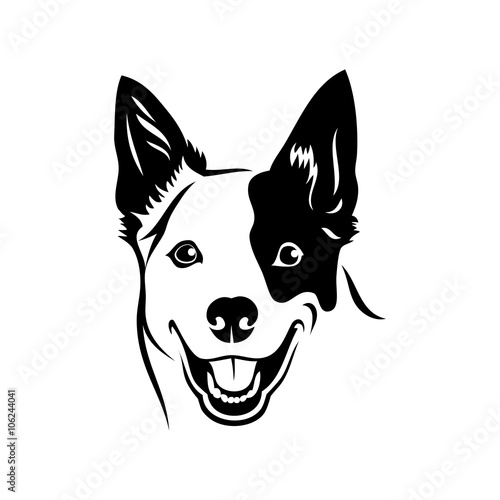 Australian cattle dog