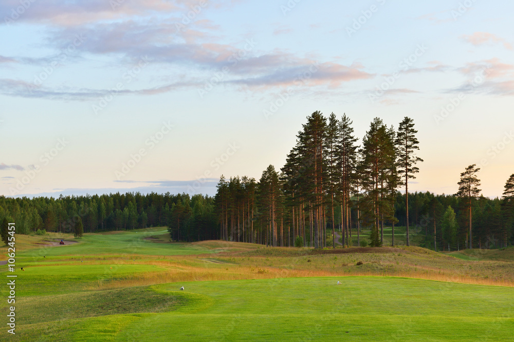 Obraz premium Golf courses. Evening