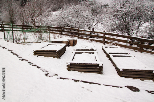 resting snow covered raised vegetable beds in the cold winter in countryside garden