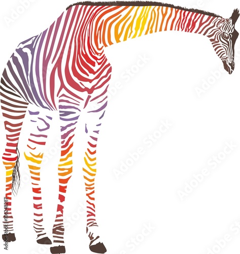 Abstract giraffe with zebra skin