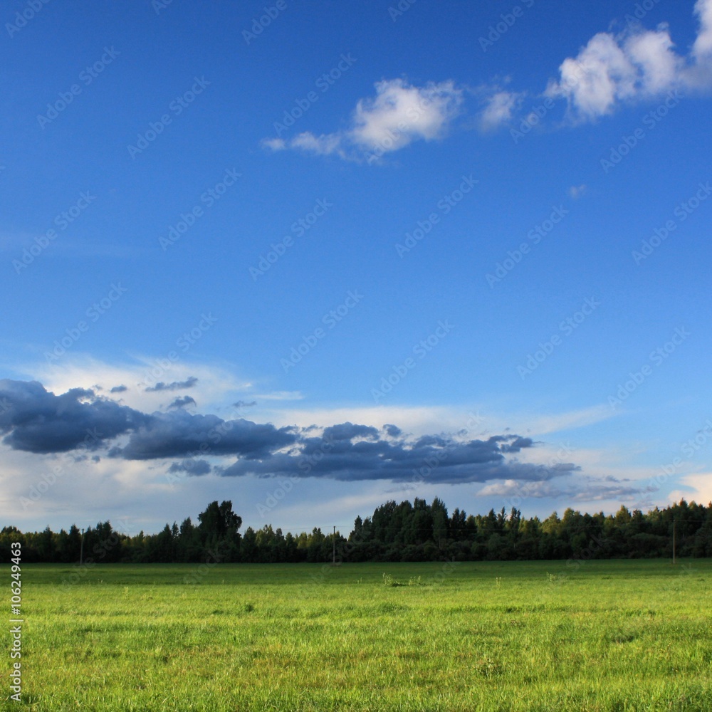 Green field, blue sky, forest, clouds