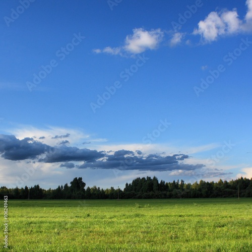 Green field  blue sky  forest  clouds