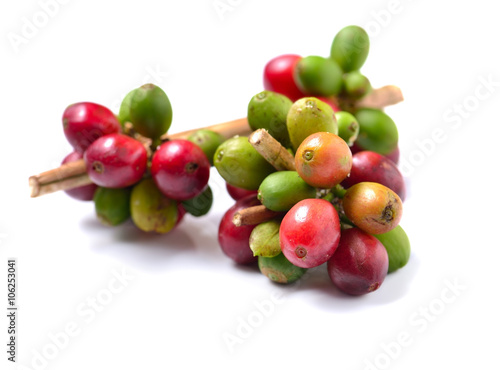 Coffee beans isolated on white background.