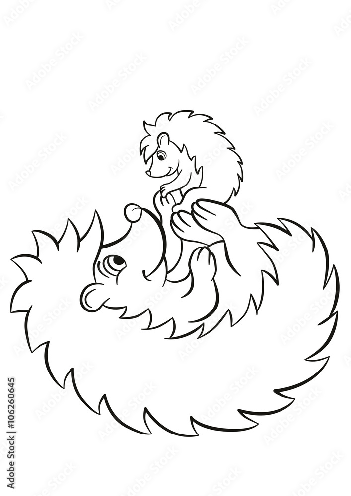 The hedgegoh holds baby on the paws. The hedgegoh holds baby on the paws.