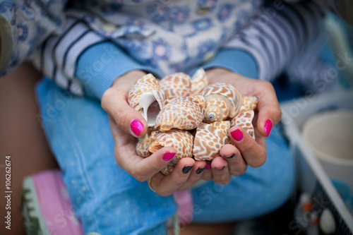 girl holding shells in hands