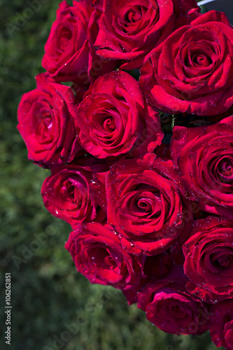 Bouquet of red roses in a box on the grass